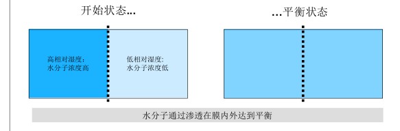 高分子膜水分子擴(kuò)散