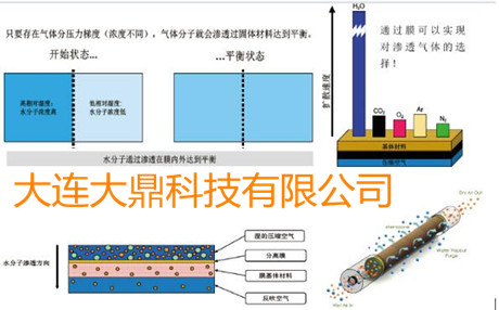 SR空壓機后處理干燥設(shè)備-SR滲膜式干燥管工作原理圖